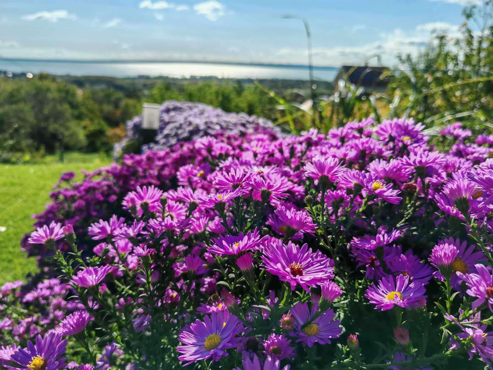 462546280_9231615766849671_7563507369022617724_n